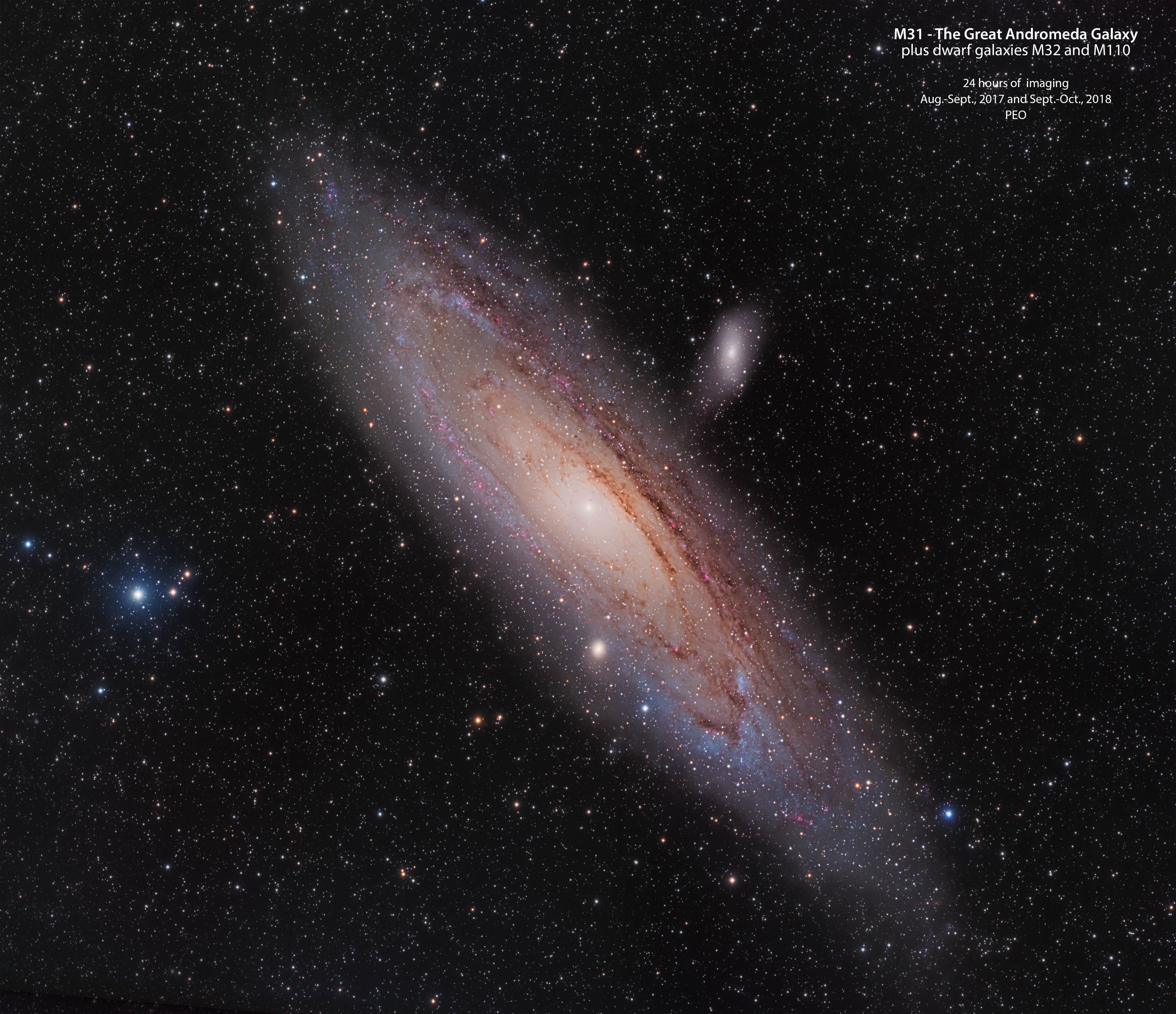 M31